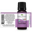 Organic Lavender Essential Oil Fashion