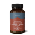 Terranova Cordyceps, Rhodiola & Ginseng Super-Blend, 30G Hot on Sale