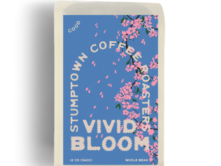 Vivid Bloom Discount