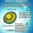 Liposomal Glutathione 500mg with Organic Whole Foods Fashion