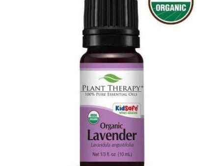 Organic Lavender Essential Oil Fashion