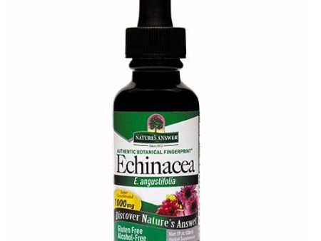 Nature s Answer Echinacea Root, 30ml Sale