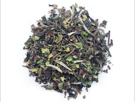 Bai Mu Dan Cheap